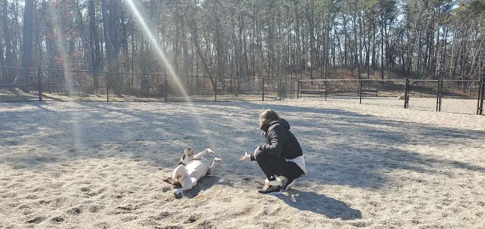 Barnstable Dog Park 8