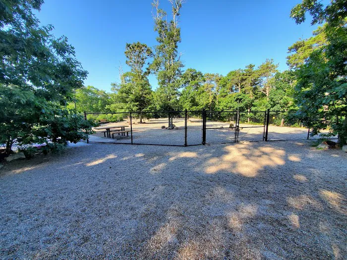 Yarmouth Dog Park 10