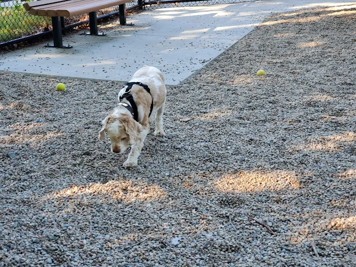 Yarmouth Dog Park 4