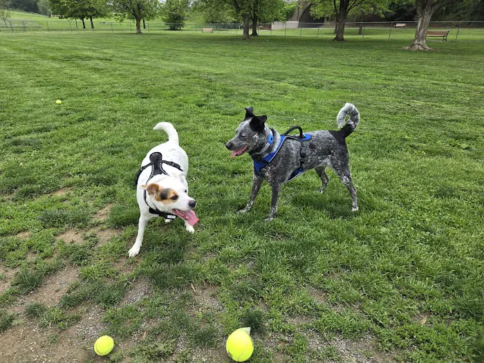 Off-Leash Dog Park @ Norlo Park 4