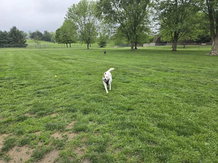 Off-Leash Dog Park @ Norlo Park 1