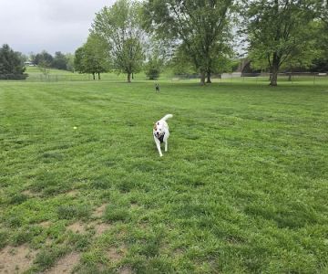 Off-Leash Dog Park @ Norlo Park