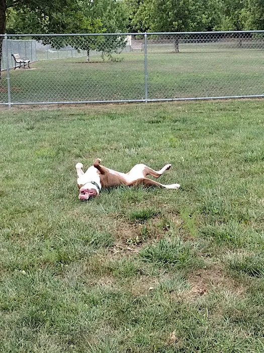 Off-Leash Dog Park @ Norlo Park 2