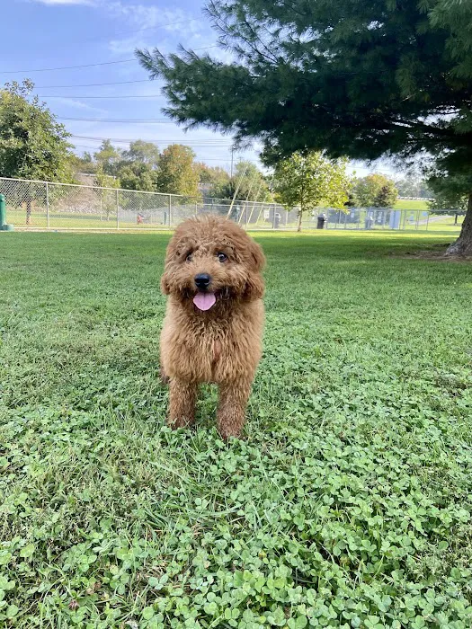 Off-Leash Dog Park @ Norlo Park 9