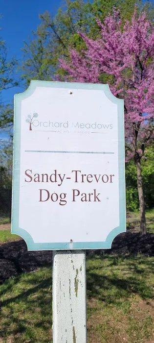 Sandy-Trevor Dog Park 1