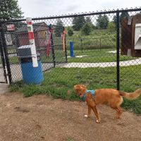 Worthington Off Leash Dog Park ico