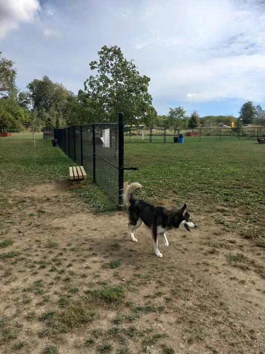 Worthington Off Leash Dog Park 4