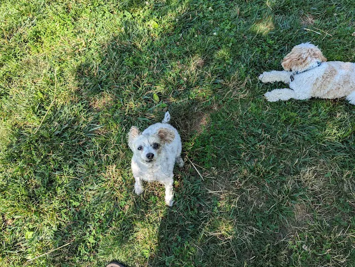 Worthington Off Leash Dog Park 3