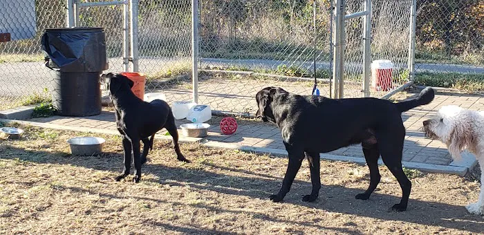 Worthington Off Leash Dog Park 7