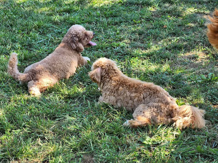 Columbia DogPark 8