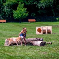 Columbia DogPark ico