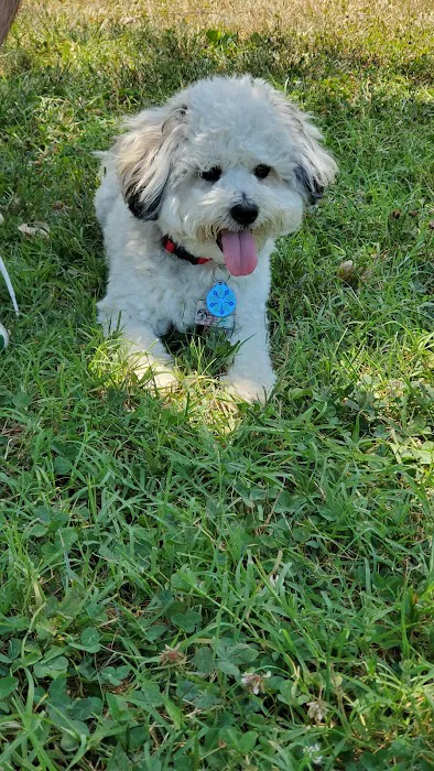 Columbia DogPark 2
