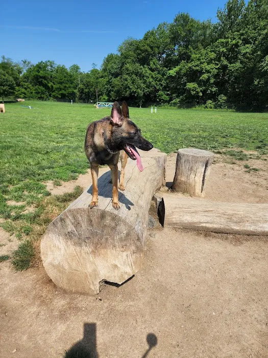Columbia DogPark 6