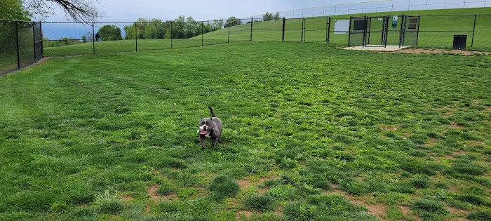 Dog Park Urbana at Urbana District Park 1