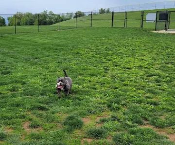 Dog Park Urbana at Urbana District Park