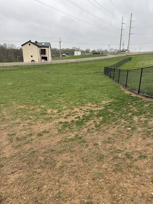 Uptown Dog Park 1