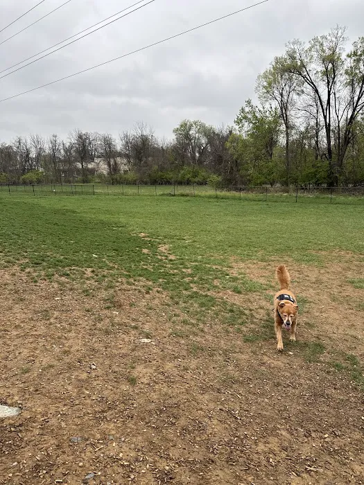 Uptown Dog Park 4