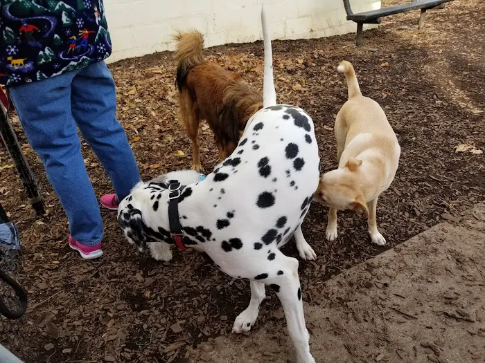City of Frederick Dog Park 7