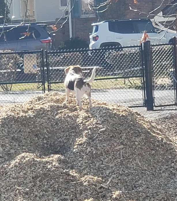 City of Frederick Dog Park 3