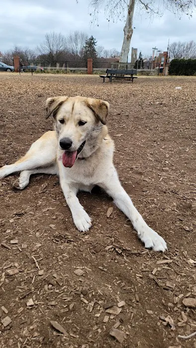 City of Frederick Dog Park 9