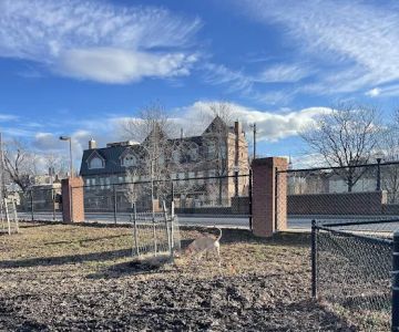 City of Frederick Dog Park
