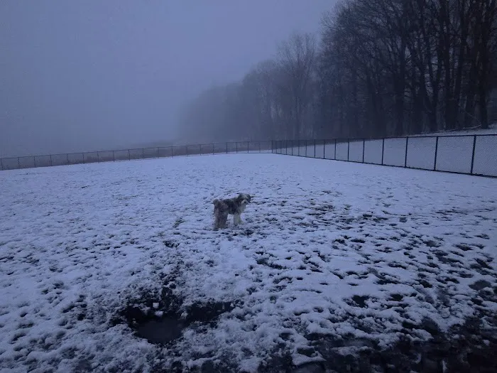Piedmont Woods Dog Park 4