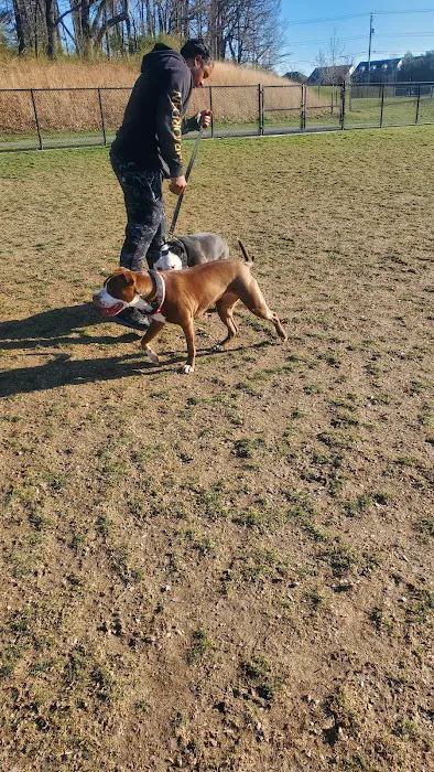 Piedmont Woods Dog Park 8