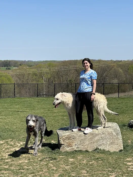 Piedmont Woods Dog Park 9