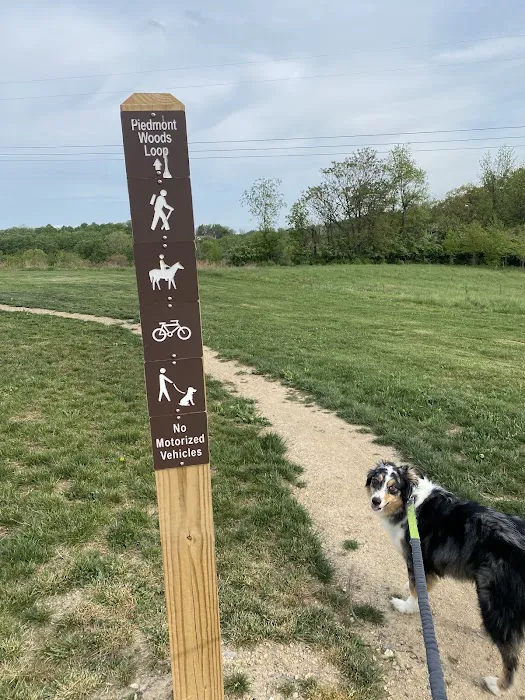Piedmont Woods Dog Park 1