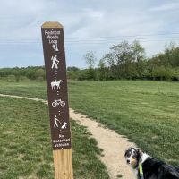 Piedmont Woods Dog Park ico