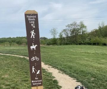 Piedmont Woods Dog Park