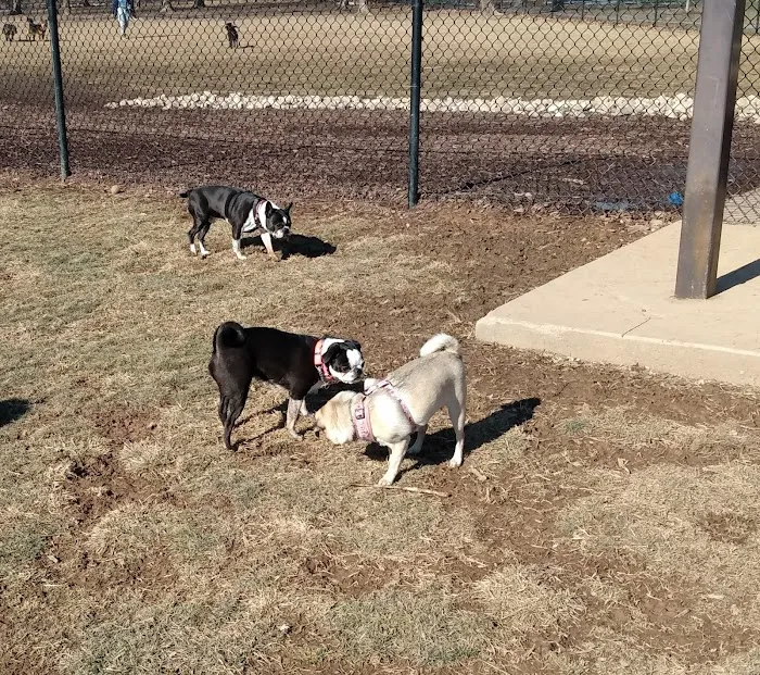 Ballenger Creek Dog Park 9