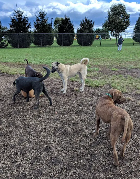 Ballenger Creek Dog Park 2