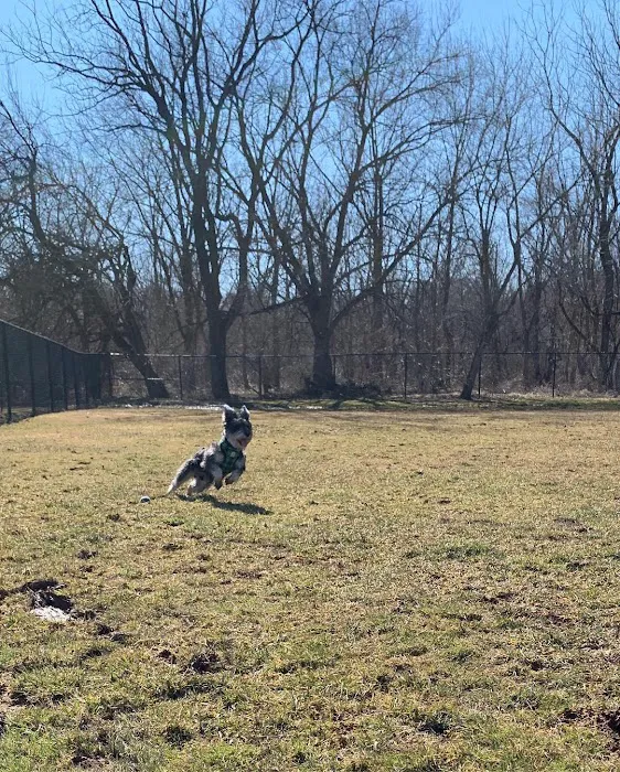 Ballenger Creek Dog Park 6