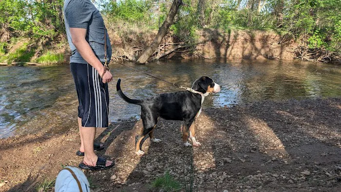 Ballenger Creek Dog Park 4