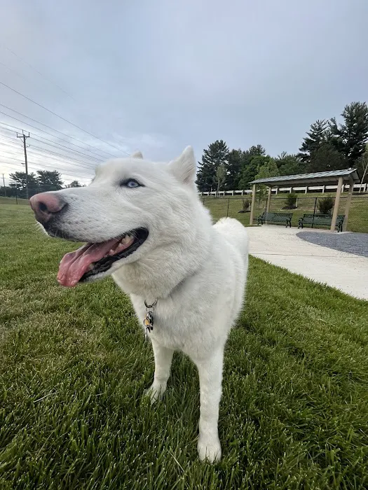 Montgomery Village Dog Park 2