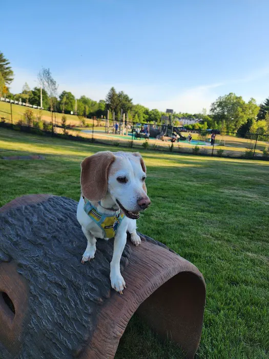 Montgomery Village Dog Park 3