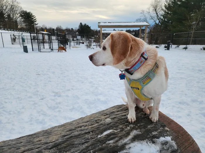 Montgomery Village Dog Park 1