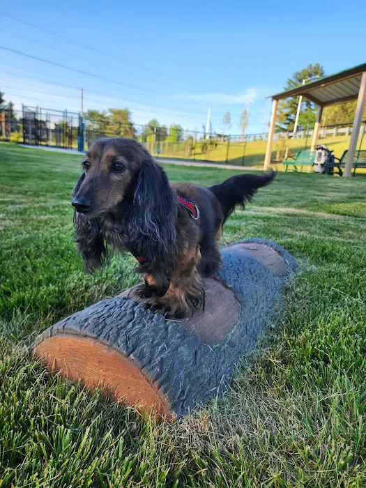 Montgomery Village Dog Park 9