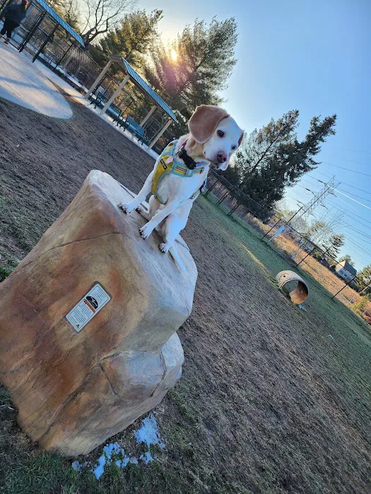 Montgomery Village Dog Park 5