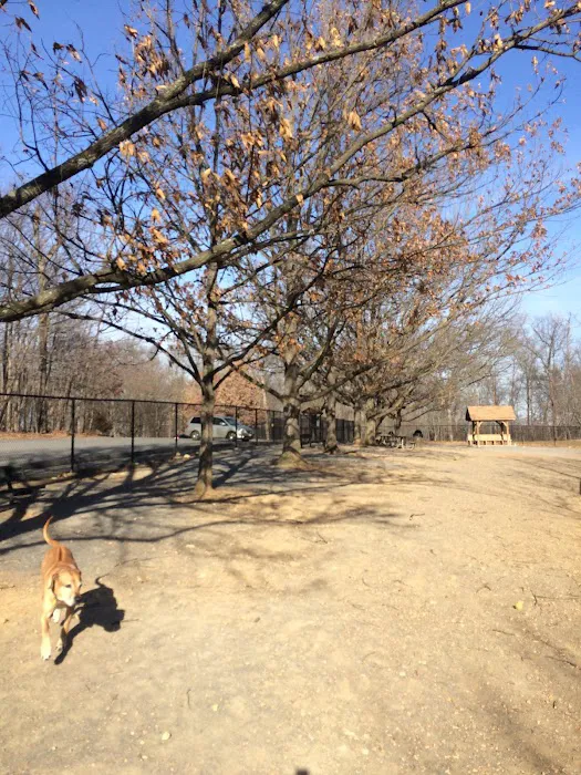 Dog Exercise Area 1