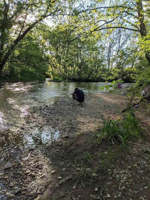 Wiles Branch Dog Park 9