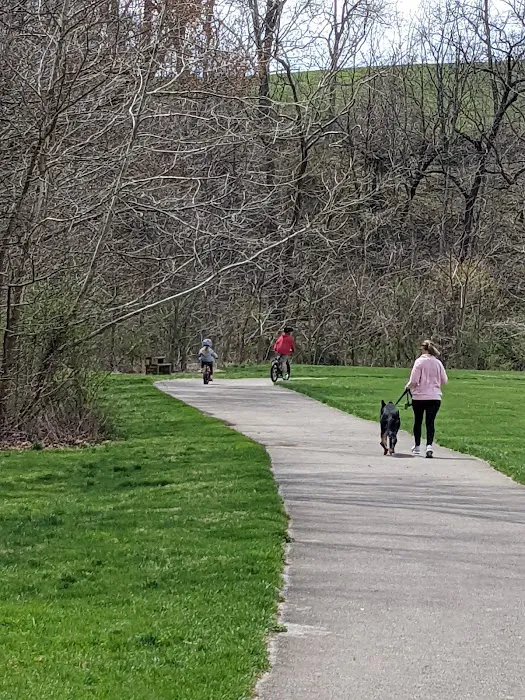 Wiles Branch Dog Park 6