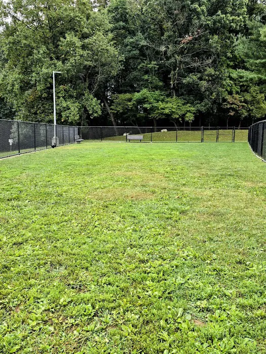 Olney Manor Recreational Park Dog Park 5