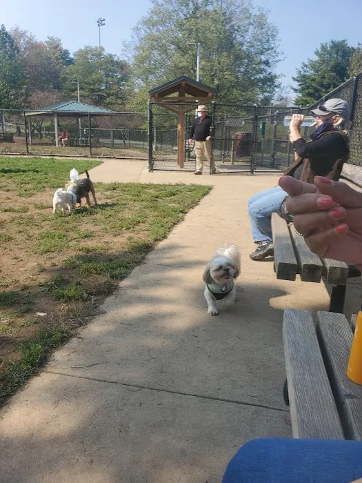 Olney Manor Recreational Park Dog Park 7