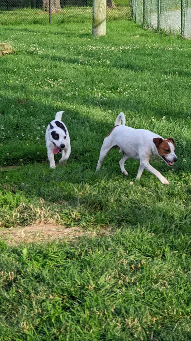 Olney Manor Recreational Park Dog Park 4