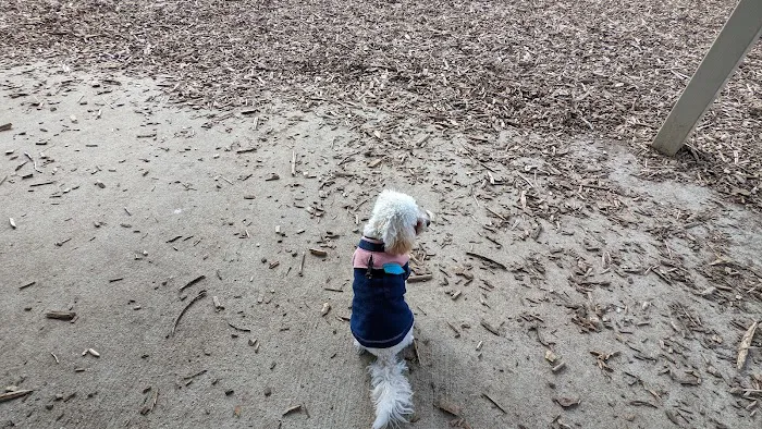 Olney Manor Recreational Park Dog Park 8