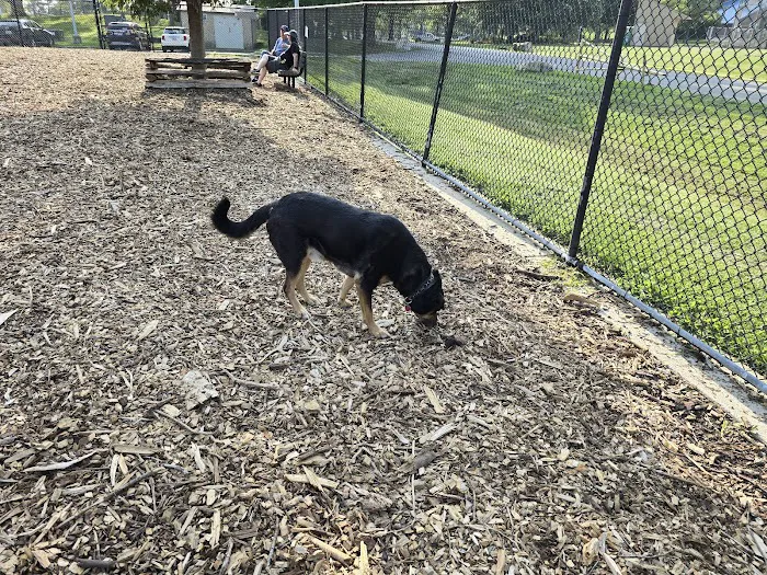Olney Manor Recreational Park Dog Park 1