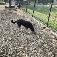 Olney Manor Recreational Park Dog Park ico