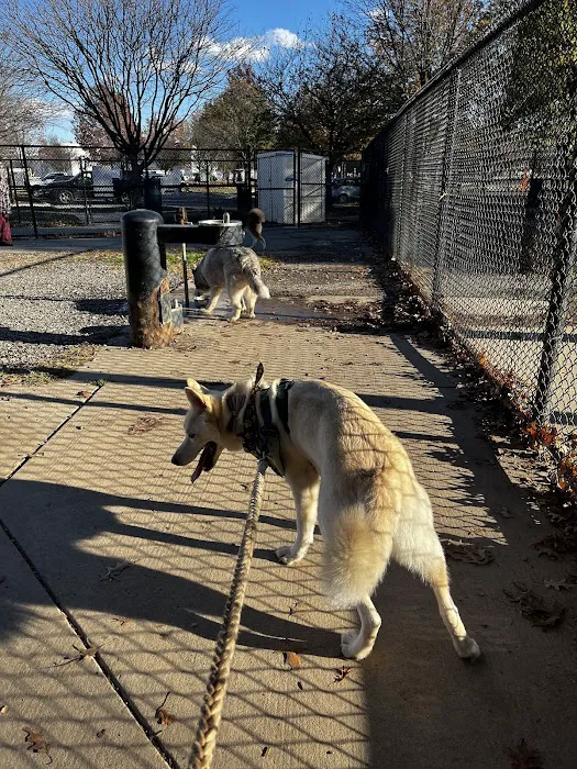 Mattie Stepanek Dog Park 10